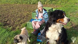 Kleiner regenerativ arbeitender Bauernhof / Small regenerative farm