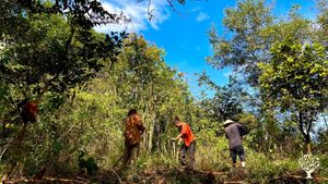 An organic farm run by a young and passionate team who share vision about sustainable lifestyle