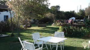 Animaux à laine, création de vêtements pure laine, teinture végétale