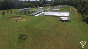Year round farm, growing mixed vegetables, culinary mushrooms & microgreens.