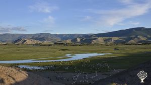 Family farm, Community farm