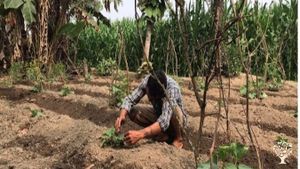 located in Shivanagar near Kasara,