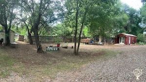 One-acre homestead and working flower farm/Floral design studio with a pollinator garden and orchard