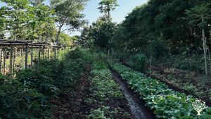 Permaculture farm spread across 8 hectares in Sumba