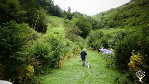Granja de flores y bosque comestible / Flower farm and food forest
