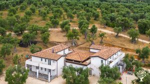 Coltivazione di ortaggi e produzione dell'olio di oliva.