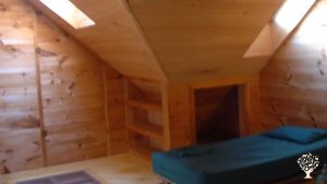 Goat dairy in a woodland, and mountain blueberries