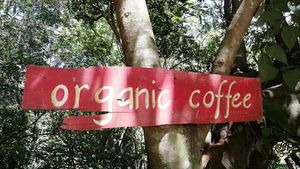 We receive volunteers for the harvest seasson fron November till May 2026