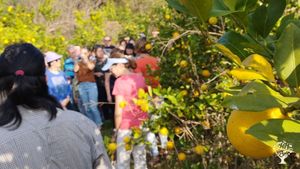 Cultivo agroecologico de cítricos, bioconstrucción