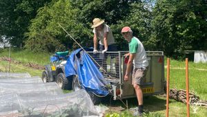 Organic Market Garden in West Wales
