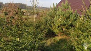 Projekt usilující o maximální energetickou a potravinovou soběstačnost