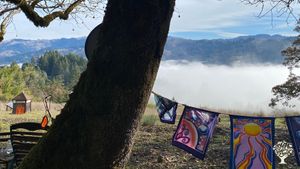 123-acre homestead in beautiful Humboldt County, the 💚 of the 1960's back to the land movement