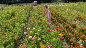 Farm in a cohousing community
