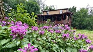 House in the woods of the farm