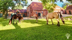Kleiner Pferdehof mit Selbstversorgung