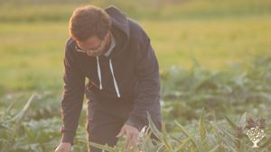 Società Agricola Selvatica