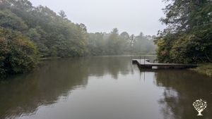 An educational farm dedicated to teaching our community about regenerative agriculture.
