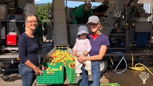 Permakultur Hof im Schwarzwald: Gemüse, Obst, Pilze und Tiere