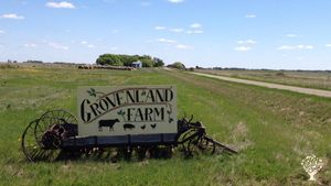 Market Garden, Ranch/ Livestock Farm, Mixed Farm, Family farm, CSA market garden