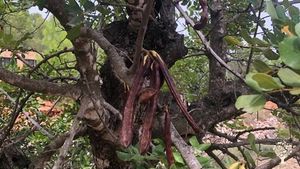 Agritourism Destination