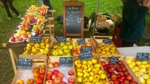 Ferme agroécologique. Paysan-semencier, producteur de fruits, légumes, plants et arbres.
