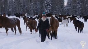 Family home and garden - rural, Horse Ranch