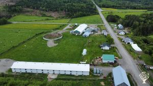 Exploitation bovine, Bois, Diversified farm, Dairy farm, chicken farm