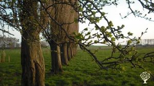 Agriculture biologique diversifié et vente en circuit court