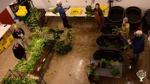Real Organic Permaculture Food Forest Farm in Michigan Countryside