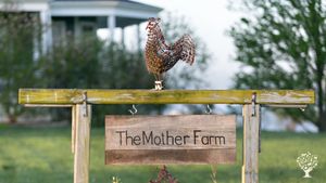 Diversified, regenerative agriculture farm with animals, orchards, and Farm Share program