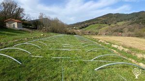 Huerta agroecologica que prepara cestas de verduras semanalmente, con el respeto hacia el entorno .