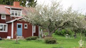 Äppelmusteri och hemmaodlingar