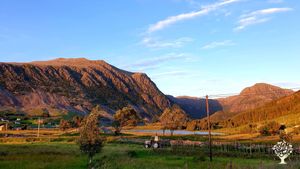 Small organic sheep farm by the ocean