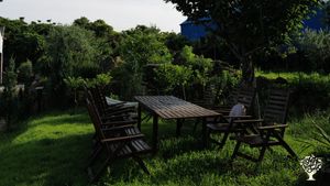 <JJ125>한국에서 만날 수 있는 지중해 올리브 농장 / Olive farm you can find in Korea