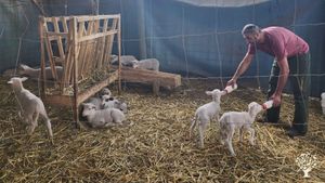 Family home and garden - rural, Agritourism Destination, Smallholding