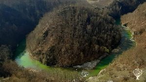 Organic farm in Transilvania