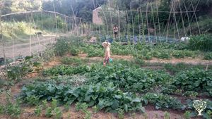 Permaculture community