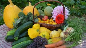 The fruits of our labour!