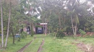 Family home and garden - urban