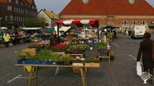 Community farm