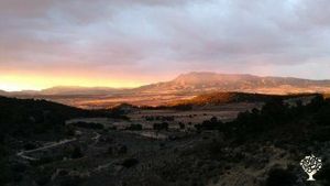 We have the most spectacular views here.