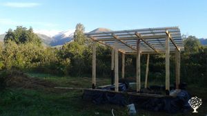 Agritourism Destination, Eco Retreat, Orchard