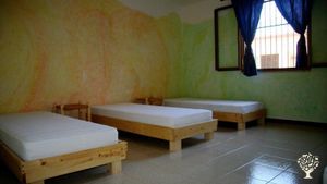 MAMATERRA Casa SanGiacomo è un’azienda agricola biologica in collina a 6 km da Sambuca di Sicilia