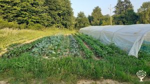 Ferme de maraichage bio