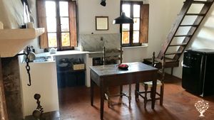 Small farmstead in the hills above Viareggio, growing organic produce and olive trees