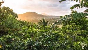 Ferme regenerative et centre de retraite