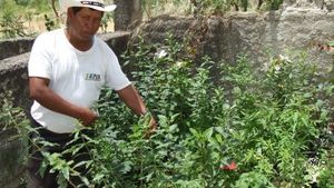 Educational Centre, Agritourism Destination, Fruit tree nursery, Mixed Farm, Community farm
