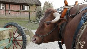 Kleiner Nebenerwerbsbetrieb der ganzheitlich und im Einklang mit Jahreszeiten wirtschaftet.