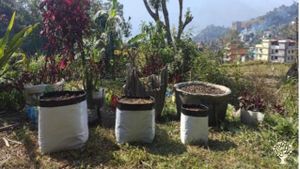 Near Lakeside Pokhara This small homestay, just steps from Lakeside Pokhara, welcomes WWOOFers into