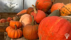 Registered Organic smallholding